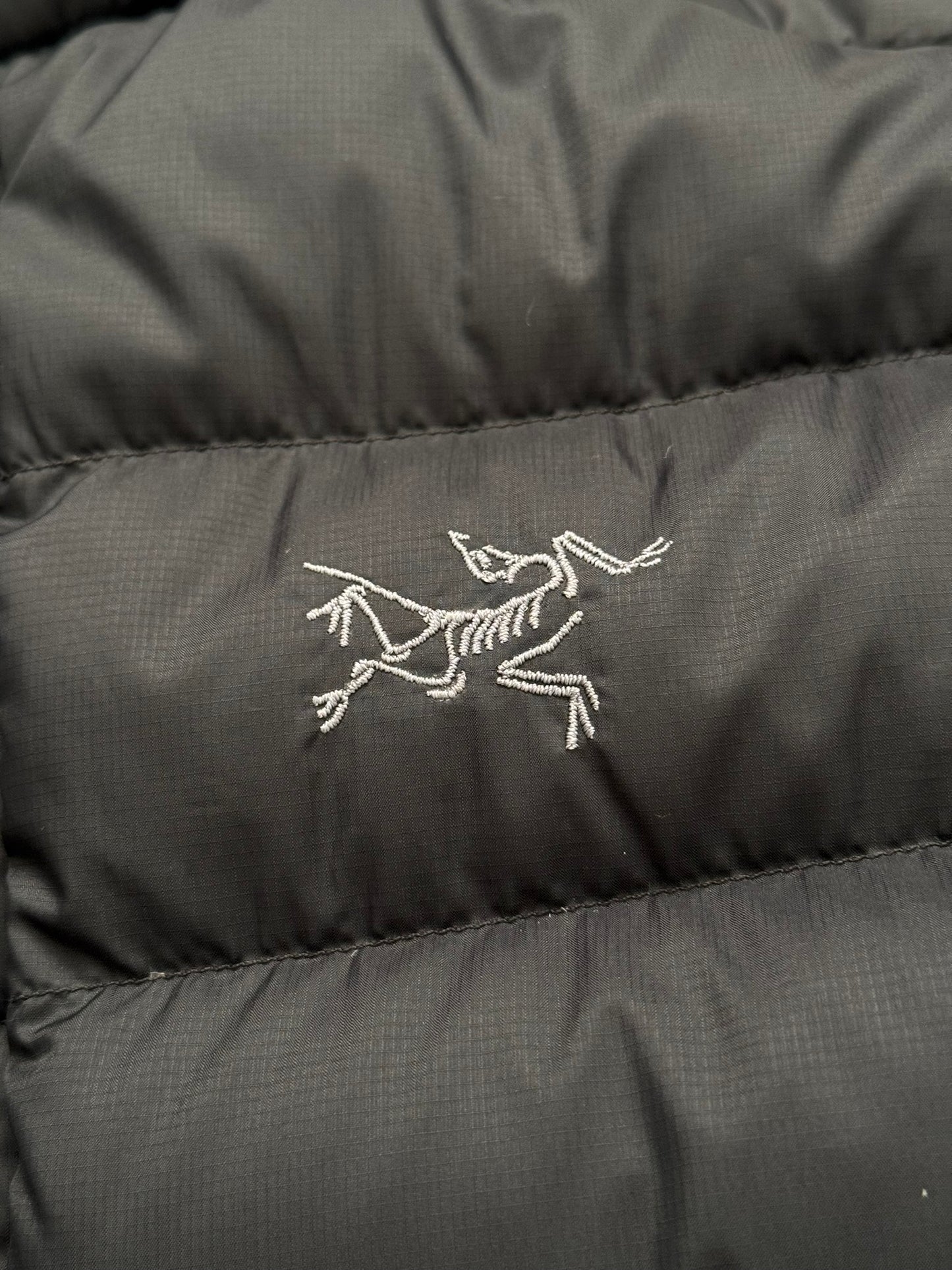 Arc'teryx Black Thorium Hooded Puffer Down Jacket
