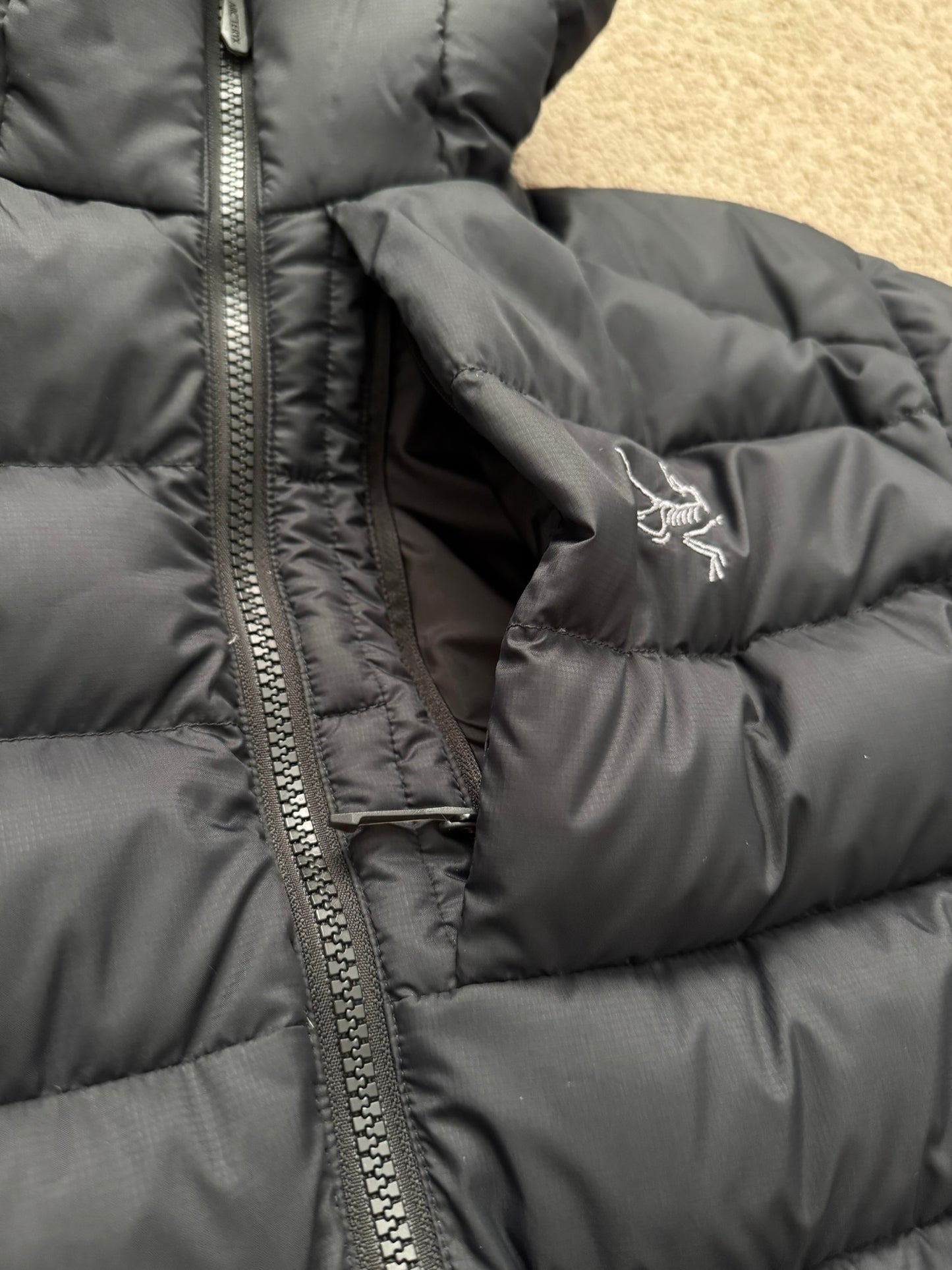 Arc'teryx Black Thorium Hooded Puffer Down Jacket
